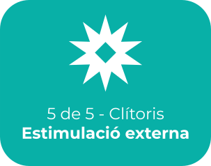 Estimulación Externa