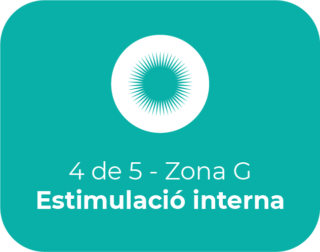 Estimulación Interna